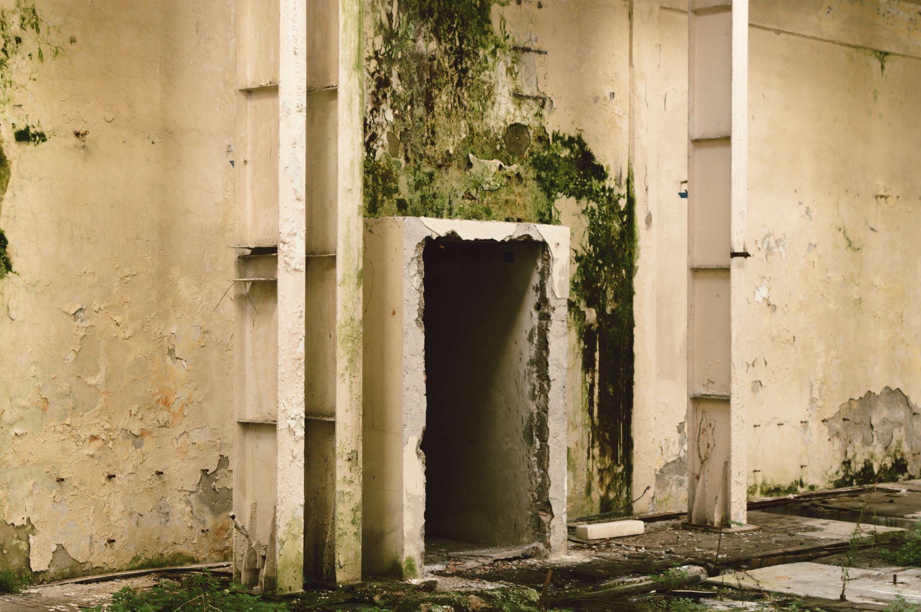 Mold Remediation Hero Section Akron